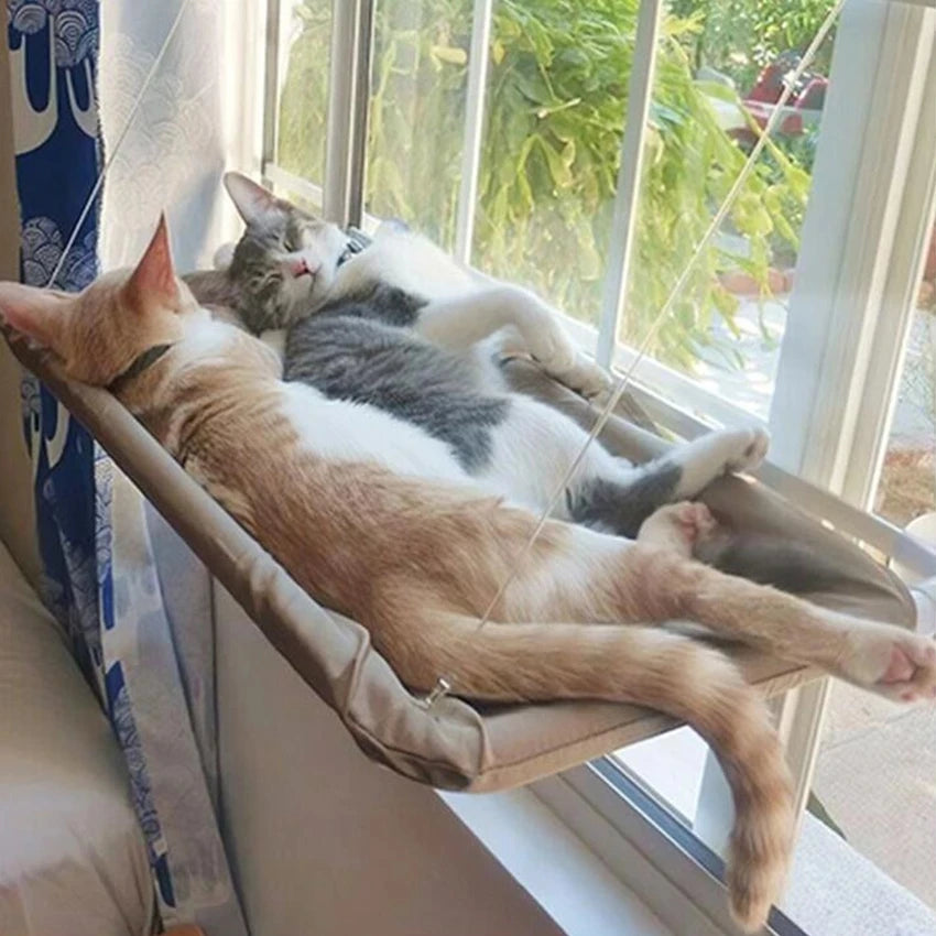 Cozy Hanging Cat Bed - Aerial Hammock for Cats & Kittens - Perfect Sunny Window Seat Nest - Supports Up to 20Kg