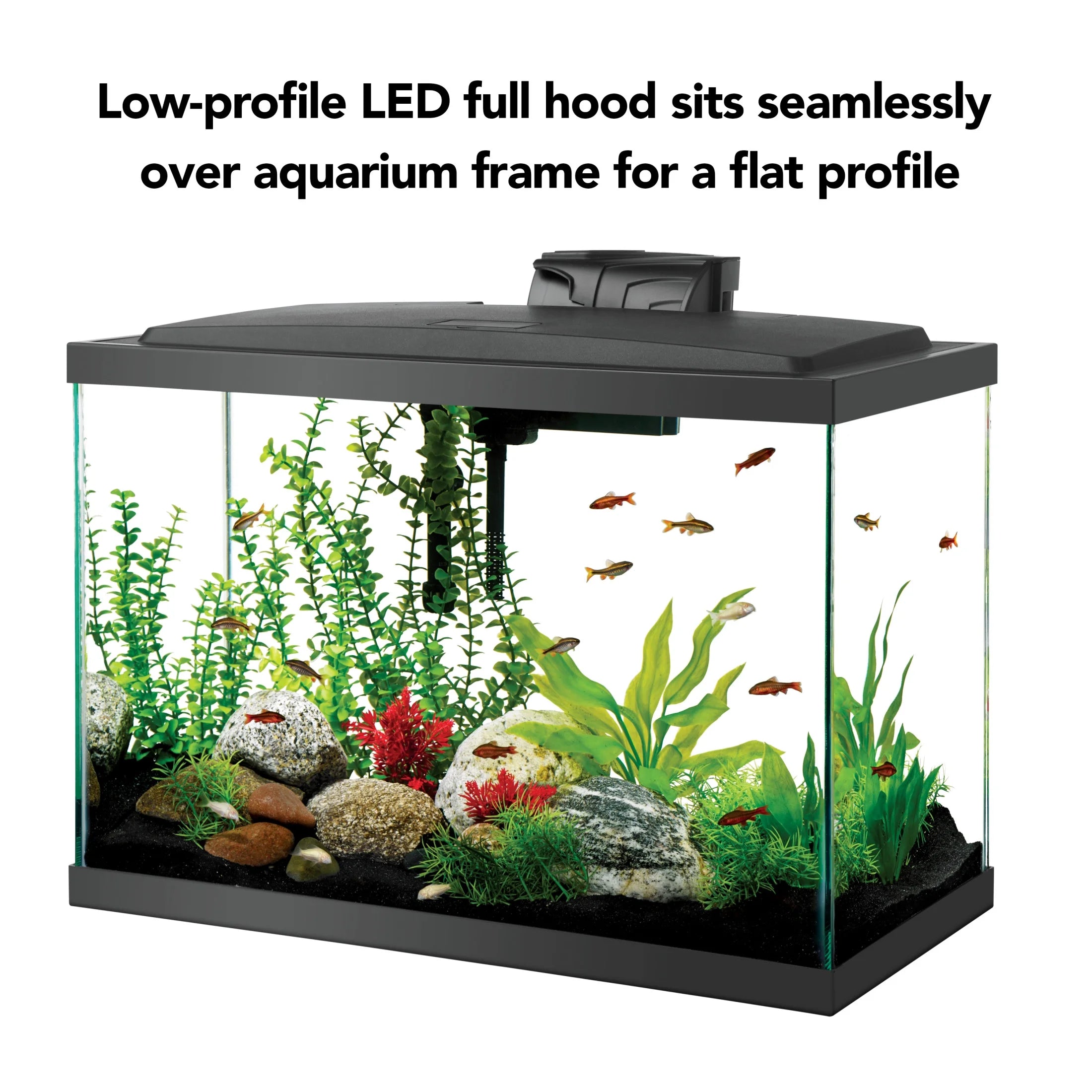 Aquarium Fish Tank Starter Kit with LED Lighting - Perfect 20 Gallon Setup for Beginners and Enthusiasts
