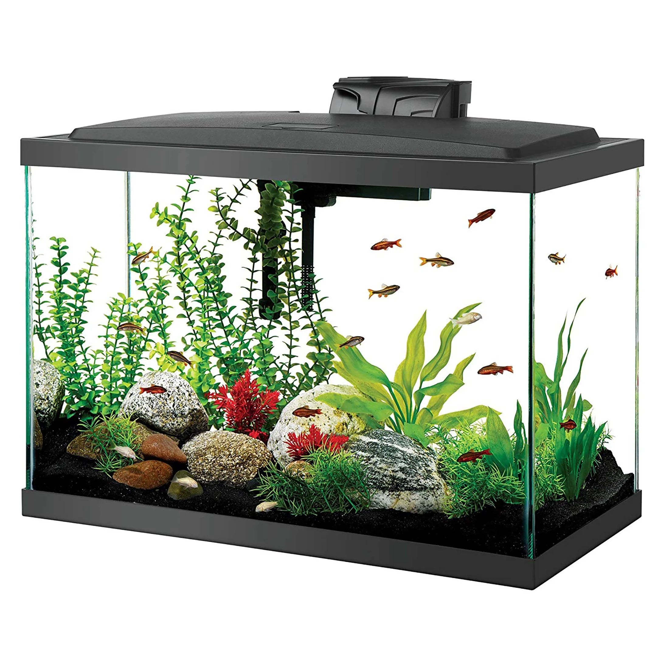 Aquarium Fish Tank Starter Kit with LED Lighting - Perfect 20 Gallon Setup for Beginners and Enthusiasts