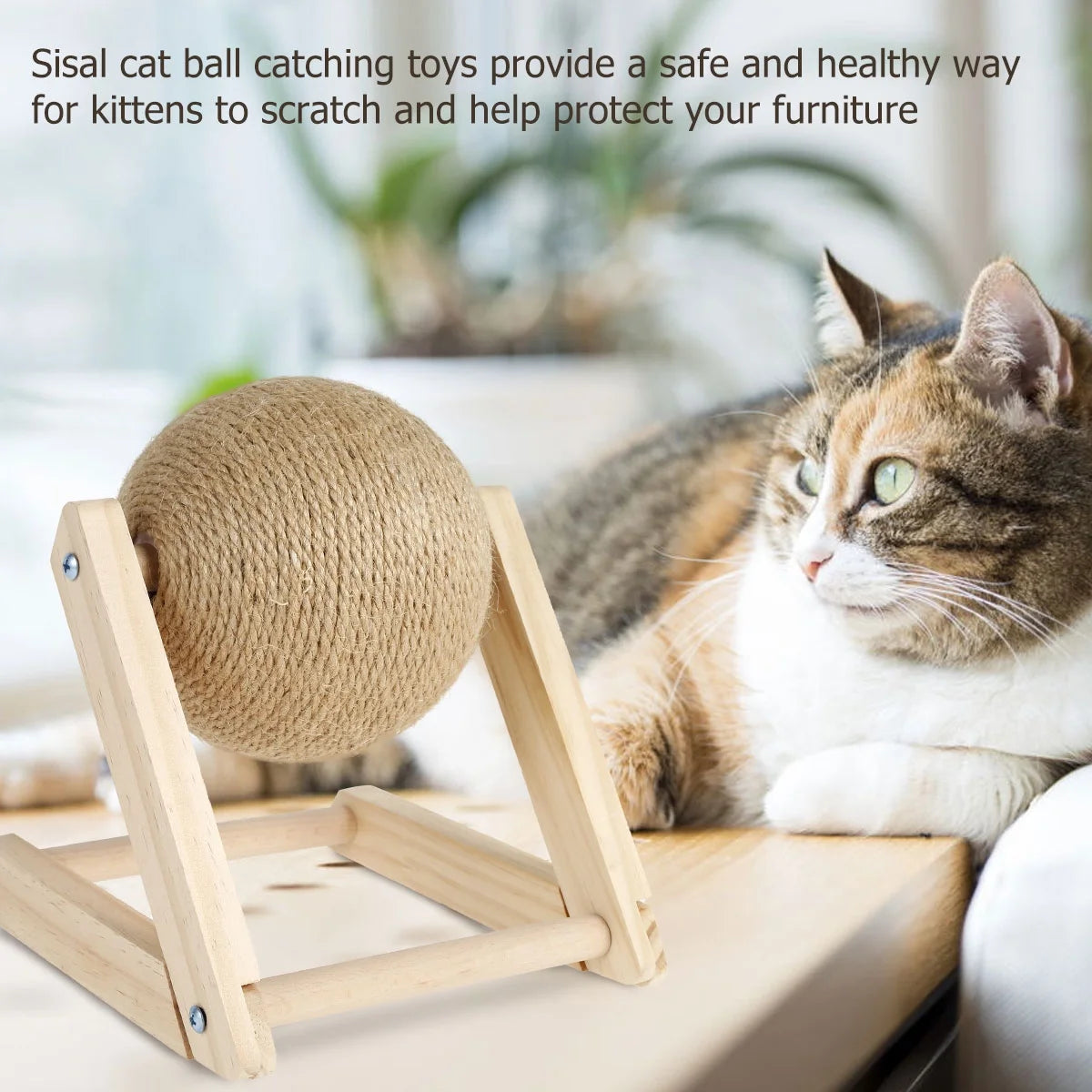 Engaging Cat Scratching Ball - Natural Sisal Cat Scratcher Toy with Catnip for Indoor Kittens and Cats