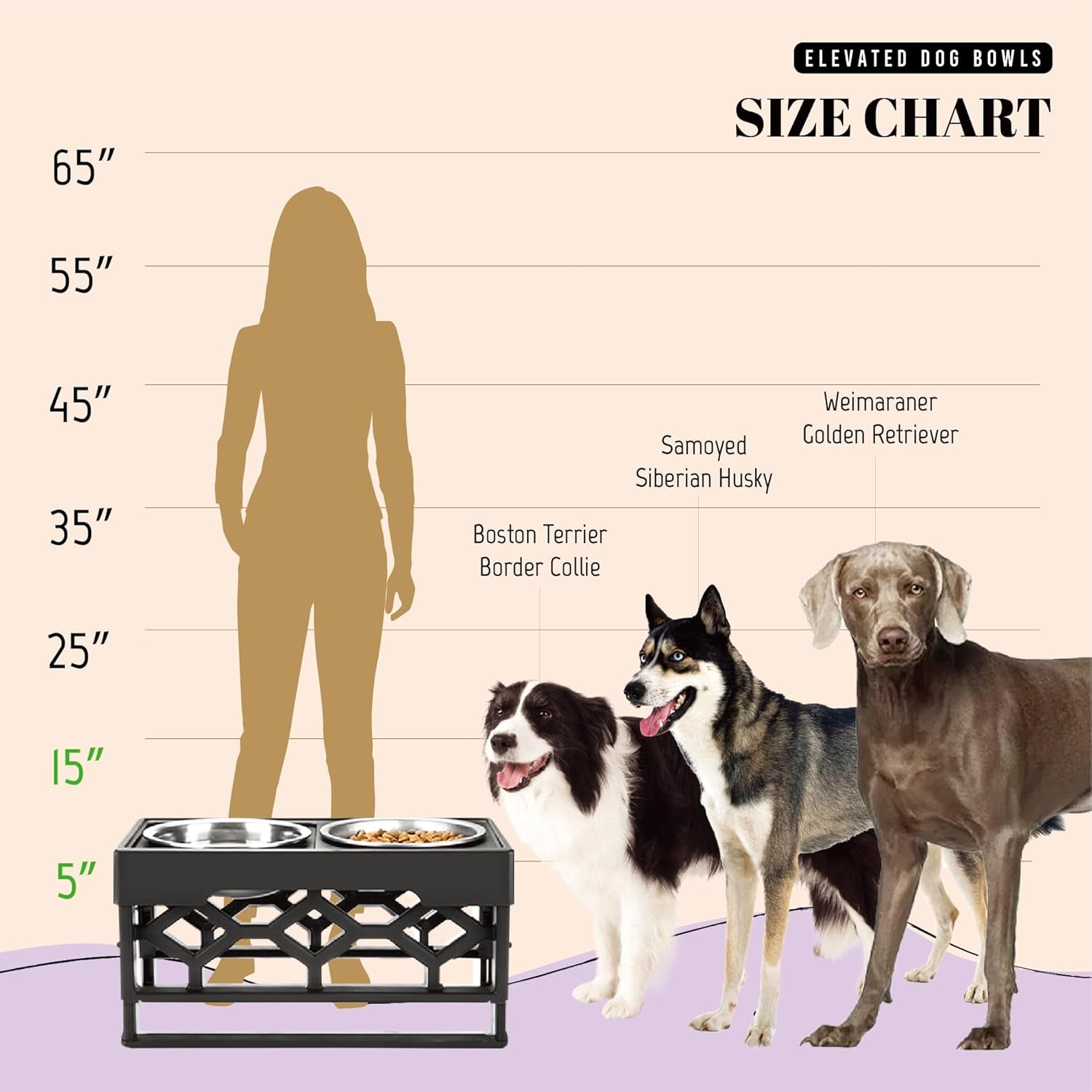 Adjustable Elevated Dog Bowls for Medium to Large Dogs - Raised Feeder with 2 Stainless Steel Bowls and Anti-Slip Base