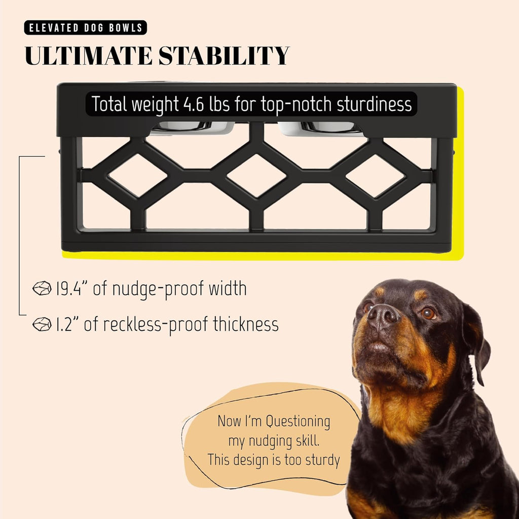 Adjustable Elevated Dog Bowls for Medium to Large Dogs - Raised Feeder with 2 Stainless Steel Bowls and Anti-Slip Base